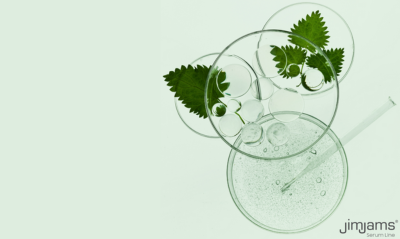 Professional interview with Dr. Erika Csordásné Rónyai